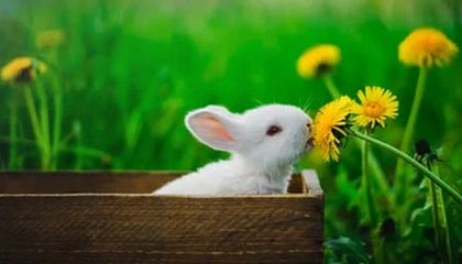 OnlyFans深度揭秘：秘闻风波背后，大V在机场贵宾室的角色疯狂令人意外